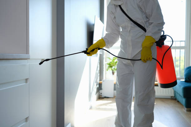 Attic Mold Removal in River Road, WA